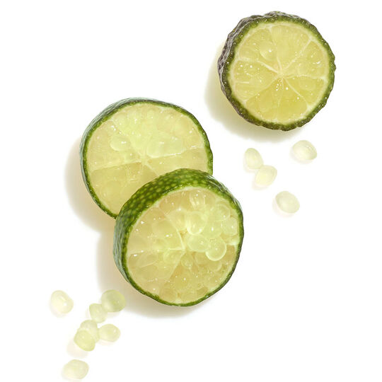 Masque cheveux colorés et épais Invigo Color Brilliance