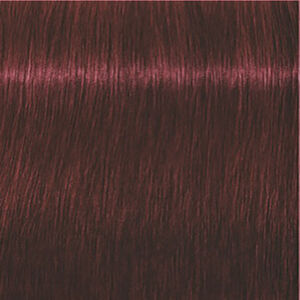 Igora Expert Mousse 5-88