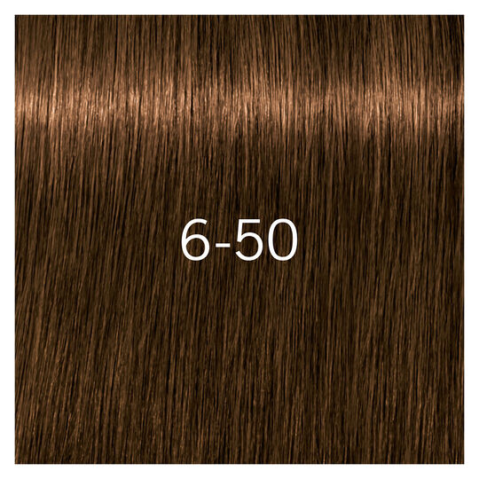 Coloration pour cheveux matures Igora Royal Absolutes 6-50