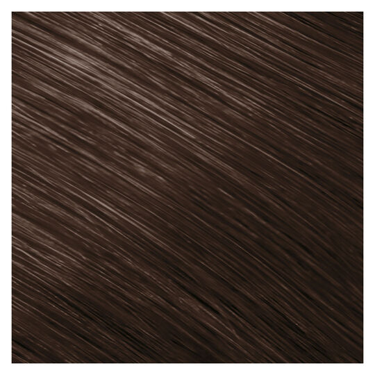 Coloration permanente Topchic 6N