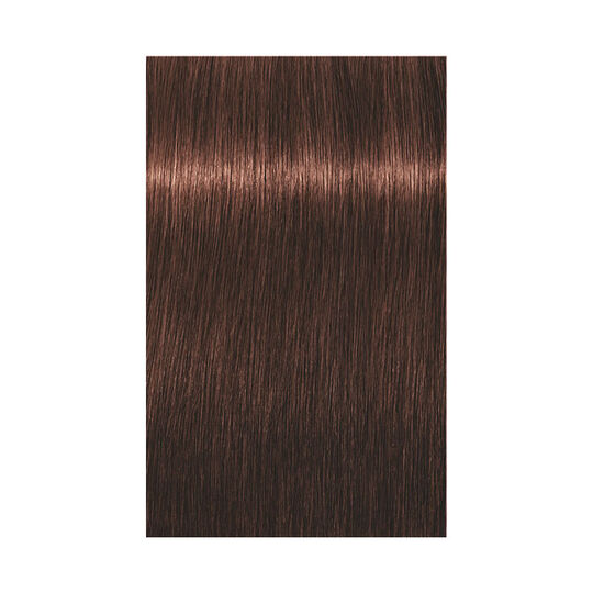 Coloration permanente Igora Royal 5-68 châtain clair chocolat rouge