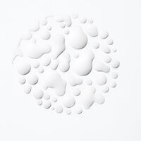 Spray Refresh Absolu Curl Manifesto