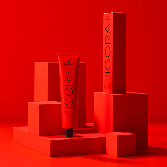 Coloration permanente Igora Royal 8-65 blond clair chocolat doré