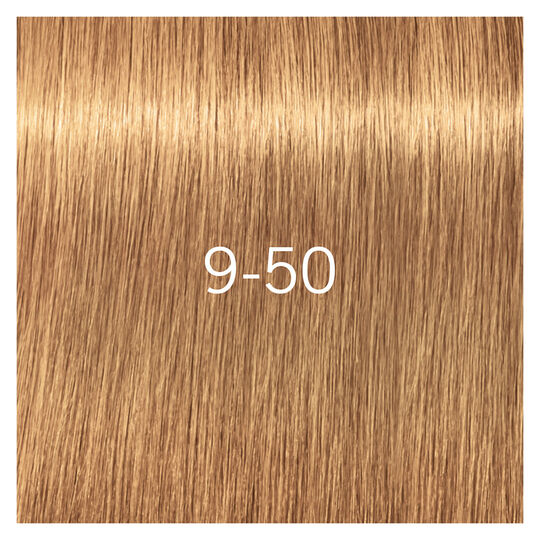 Coloration pour cheveux matures Igora Royal Absolutes 9-50