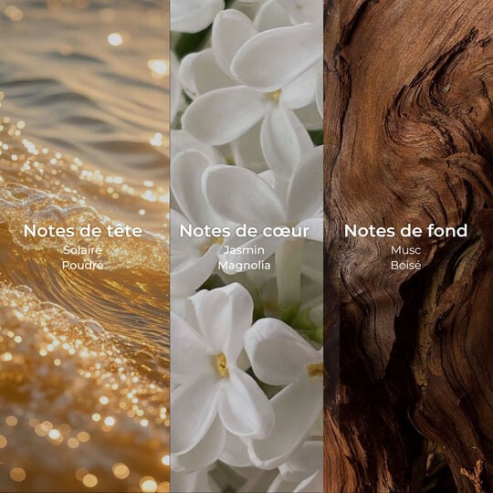 Shampooing hydratation Hair Therapy 500 ml