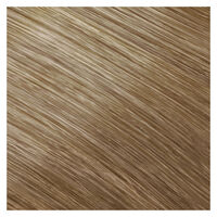 Coloration permanente Topchic 8N