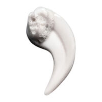 Shampooing disciplinant Keratin Alpha Sleek 1500ml