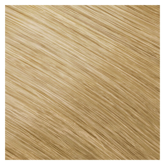 Coloration permanente Topchic 9N