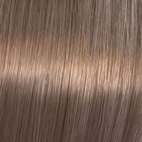 Coloration gloss Shinefinity 06/73 caramel chocolate