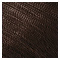 Coloration permanente Topchic 6NN