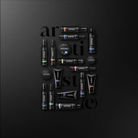 Shampooing sec Refresh Dry Artiste