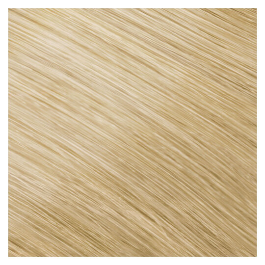 Coloration permanente Topchic 10N