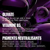 Shampooing Ultimate Cool Blonde 250 ml