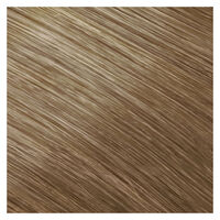 Coloration permanente Topchic 8NN