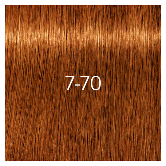 Coloration pour cheveux matures Igora Royal Absolutes 7-70