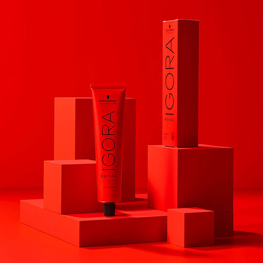 Coloration permanente Igora Royal 6.63 blond fonc&eacute; chocolat mat