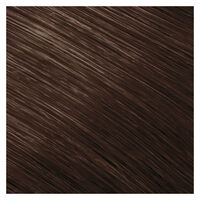 Coloration permanente Topchic 5BG