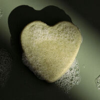 Shampooing solide purifiant à l'ortie piquante,  Shampooing solide purifiant à l'ortie piquante