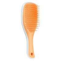Brosse d&eacute;m&ecirc;lante mini Ultimate Detangler ice blue sweet orange