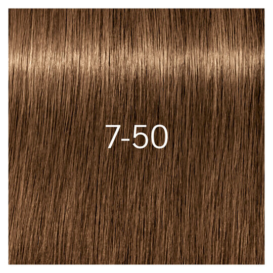 Coloration pour cheveux matures Igora Royal Absolutes 7-50