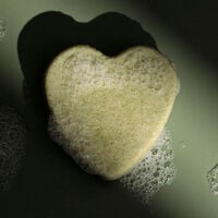 Shampooing solide purifiant &agrave; l'ortie piquante