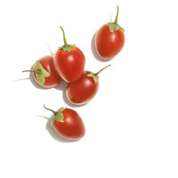 Baume merveilleux Invigo Nutri-Enrich,  Baume merveilleux Invigo Nutri-Enrich