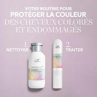 Duo cheveux fins color&eacute;s Color Motion+