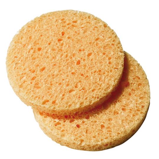 &Eacute;ponge cellulose x 2