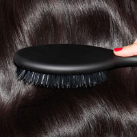 Brosse ovale The dresser