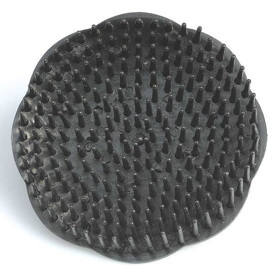 Brosse de massage