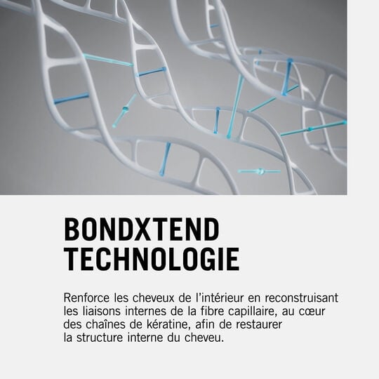 Shampooing disciplinant Fibre Clinix