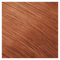 Coloration permanente Topchic 8KG