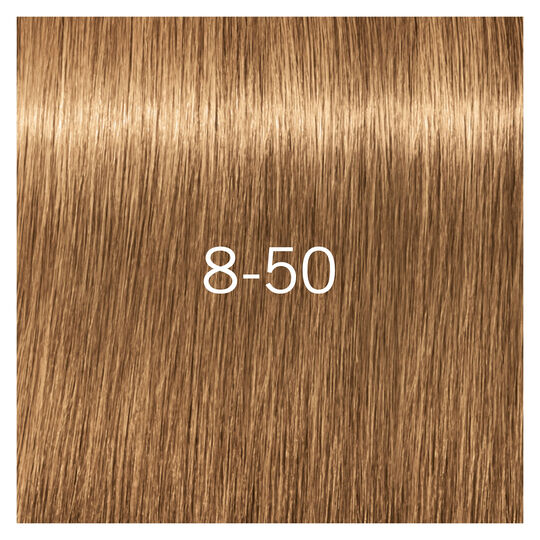 Coloration pour cheveux matures Igora Royal Absolutes 8-50
