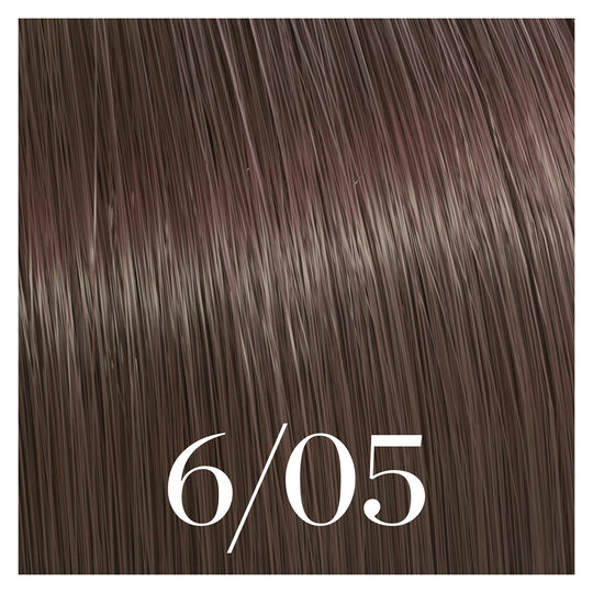 Coloration semi-permanente Color Touch 6/05 blond fonc&eacute; naturel acajou