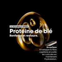 Shampooing restructurant instantan&eacute; Absolut Repair 1500 ml