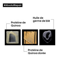 Routine r&eacute;paratrice l&eacute;g&egrave;re Absolut Repair Gold