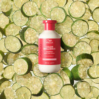 Shampooing cheveux color&eacute;s fins &agrave; normaux Invigo Color Brilliance 300ml