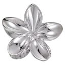 argent