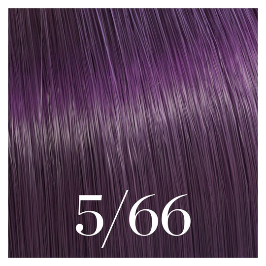 Coloration semi-permanente Color Touch 5/66 ch&acirc;tain violine intense
