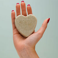 Shampooing solide purifiant &agrave; l'ortie piquante