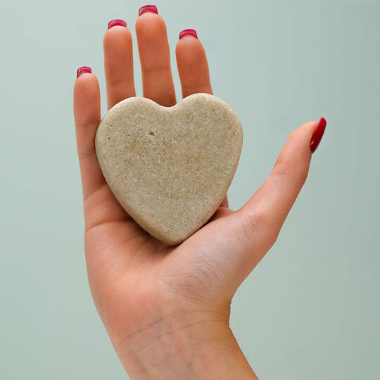 Shampooing solide purifiant &agrave; l'ortie piquante