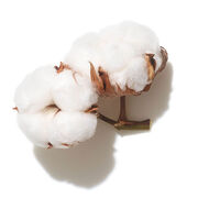 Spray soin volumisateur Invigo Volume Boost,  Spray soin volumisateur Invigo Volume Boost