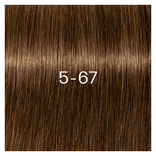 Coloration Igora Zero Amm 5-67 ch&acirc;tain clair chocolat cuivr&eacute;