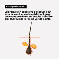 Shampooing dermo-purifiant anti-gras Scalp Advanced 500ml,  Shampooing dermo-purifiant anti-gras Scalp Advanced 500ml