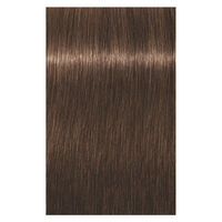 Coloration permanente Igora Royal 6-6 blond fonc&eacute; chocolat