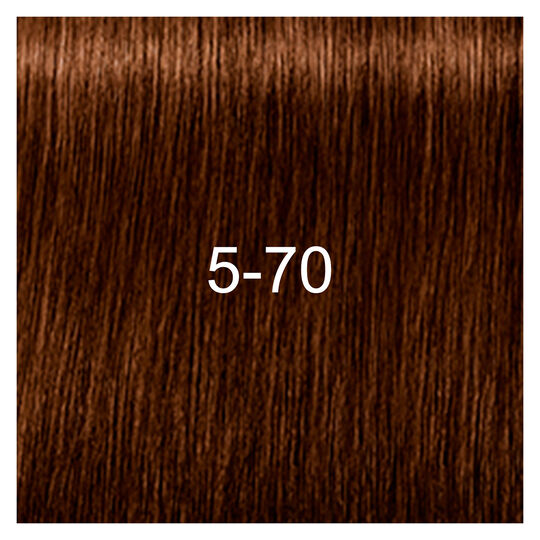 Coloration pour cheveux matures Igora Royal Absolutes 5-70