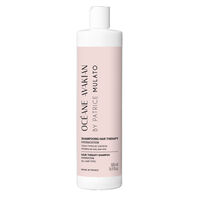 Shampooing hydratation Hair Therapy 500 ml