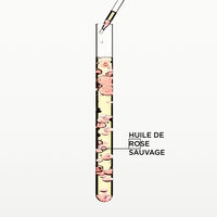 Huile Glaze Drops Gloss Absolu