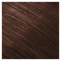 Coloration permanente Topchic 6B