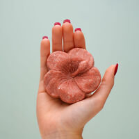 Trousse d&eacute;couverte &agrave; l'hibiscus